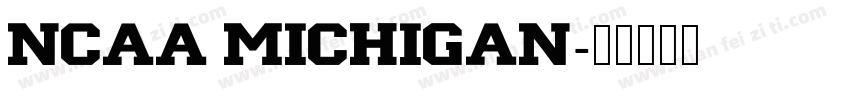 NCAA Michigan字体转换